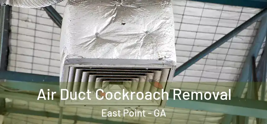  Air Duct Cockroach Removal East Point - GA