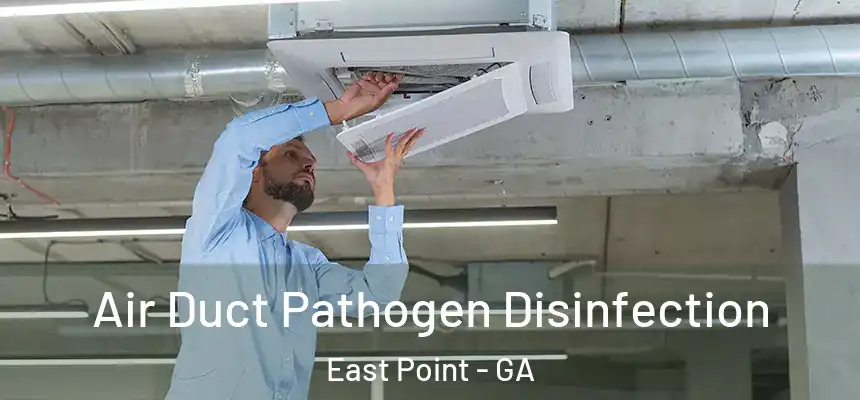  Air Duct Pathogen Disinfection East Point - GA