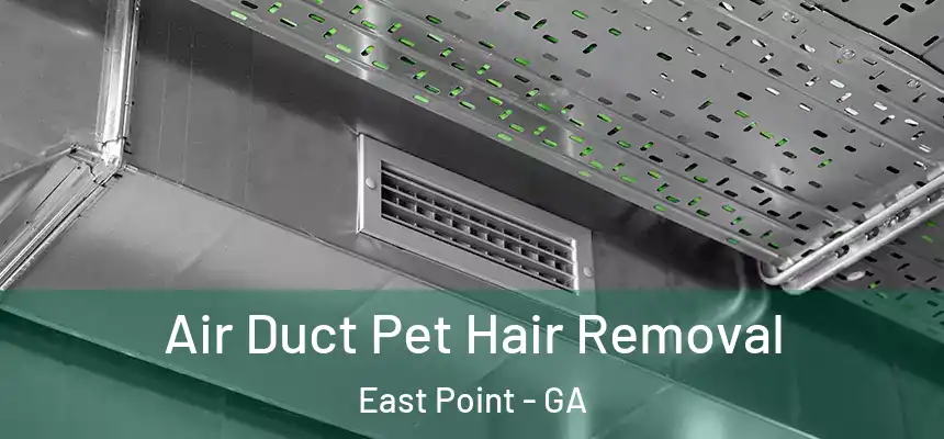  Air Duct Pet Hair Removal East Point - GA