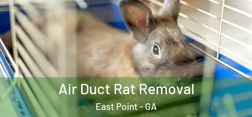  Air Duct Rat Removal East Point - GA