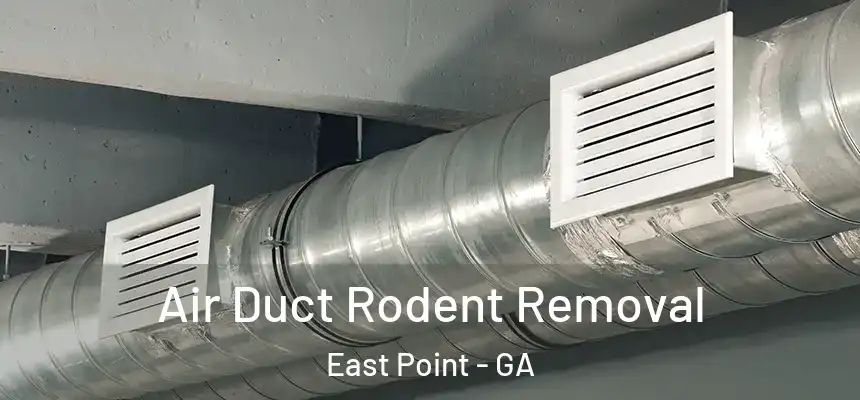  Air Duct Rodent Removal East Point - GA
