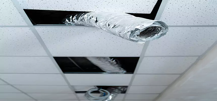 Our Air Duct Pet Hair Removal Services in East Point, GA