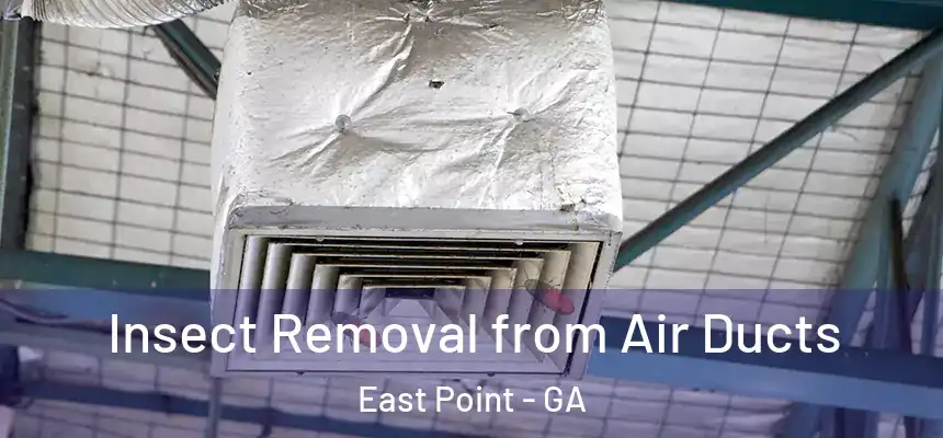  Insect Removal from Air Ducts East Point - GA
