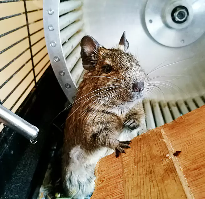 Why Homeowners & Businesses Trust Us East Point, GA