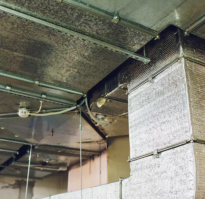 Why Homeowners & Businesses Trust Us in East Point, GA?